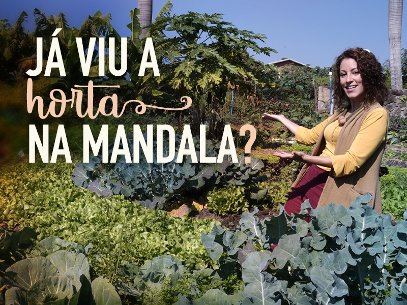 Benefícios Ambientais e Econômicos da Horta Mandala