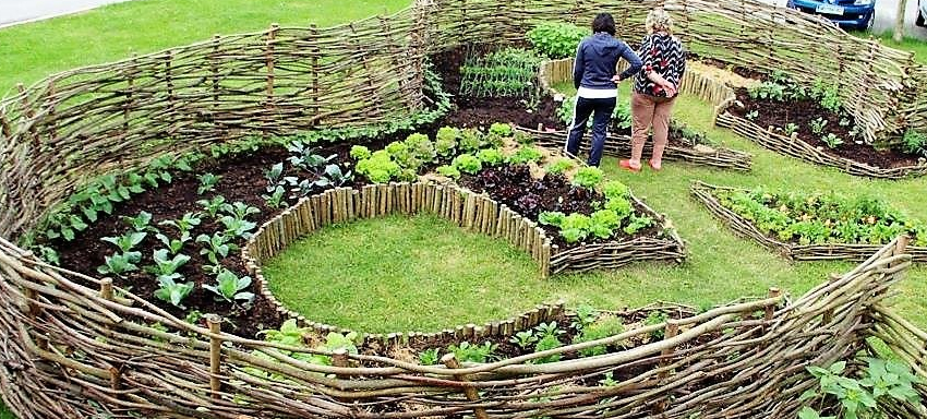 As Melhores Plantas para Consorciar na Horta Mandala