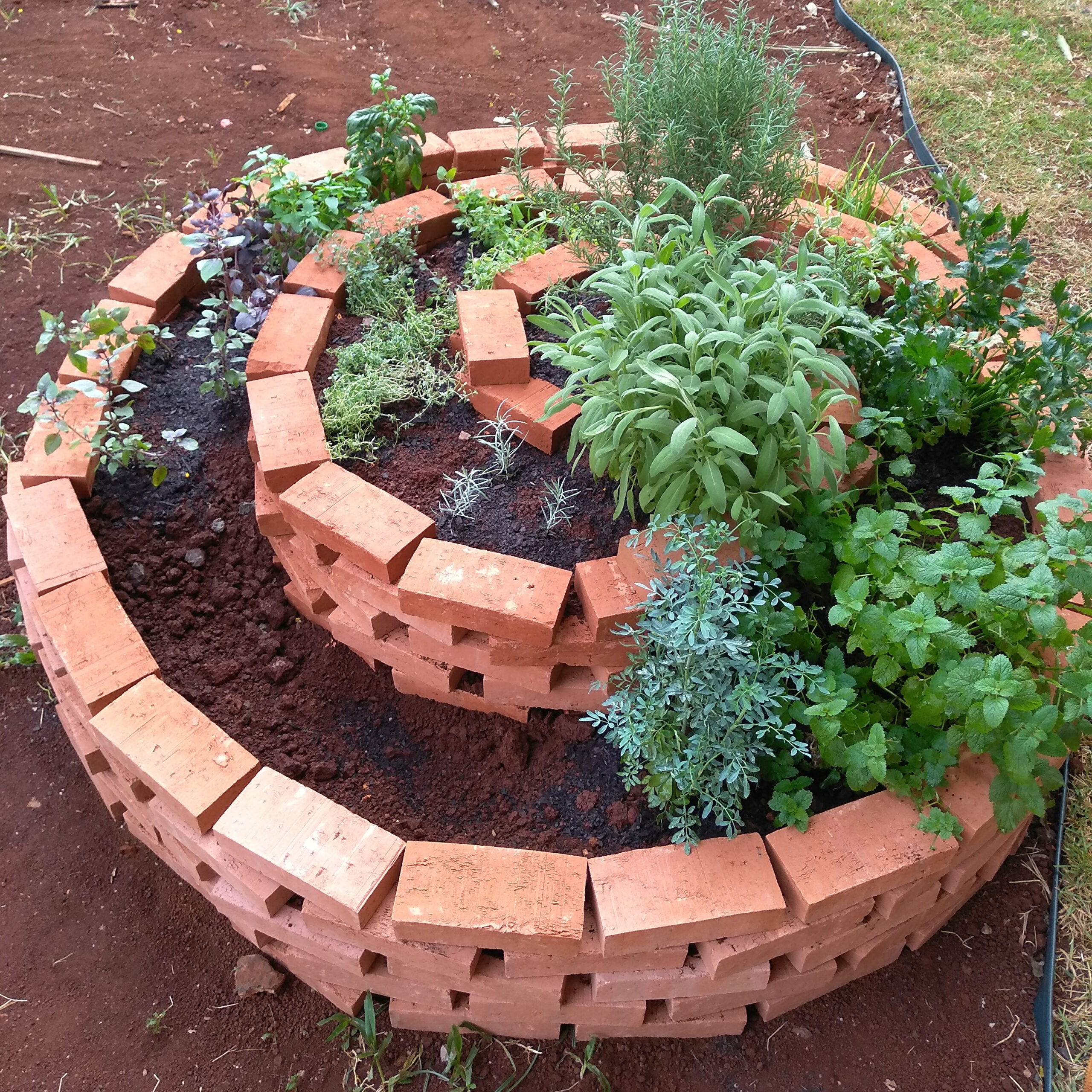 Benefícios Ambientais e Econômicos da Horta Mandala