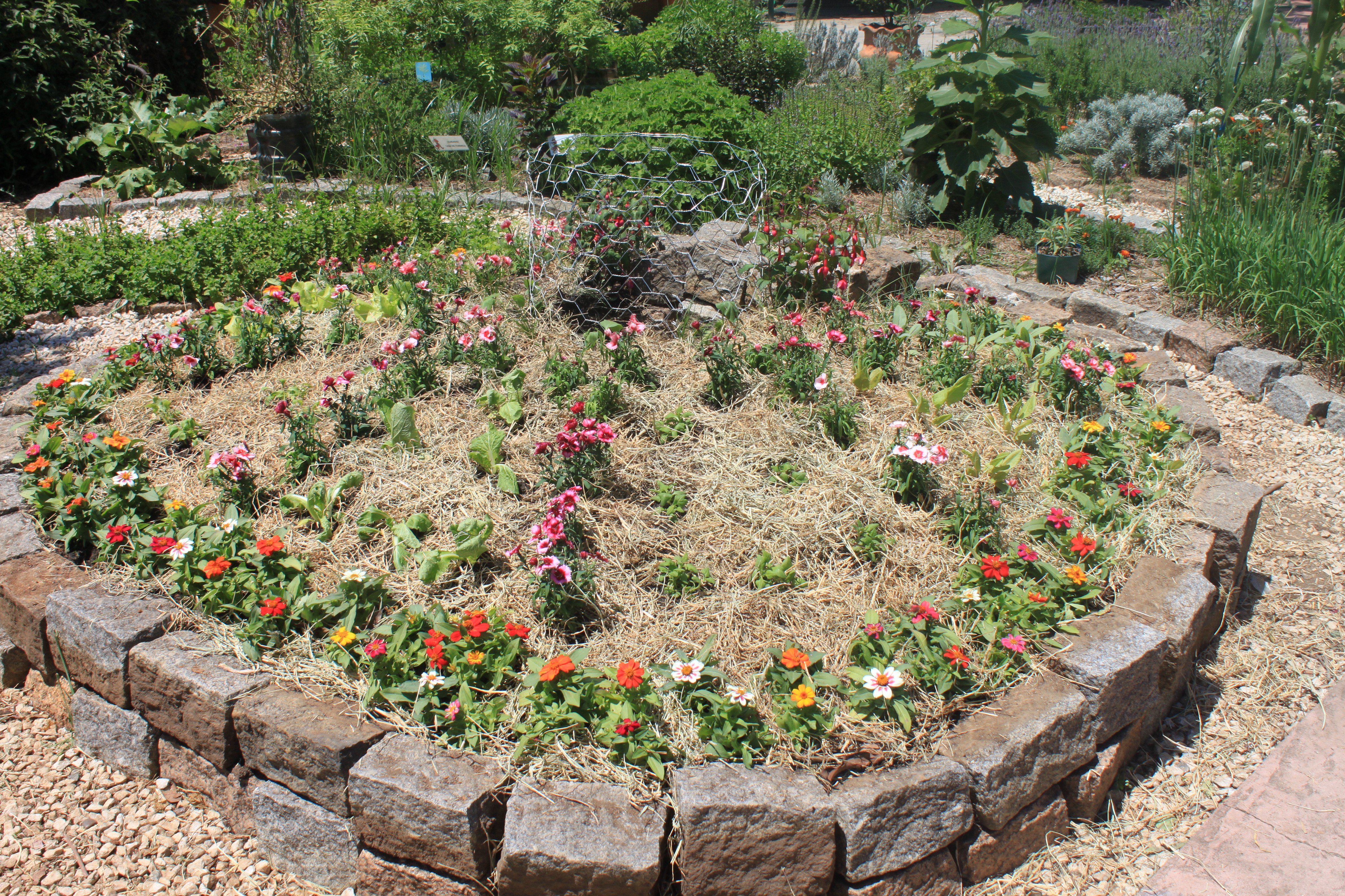 Manutenção e Cuidados Essenciais para Sua Horta Mandala