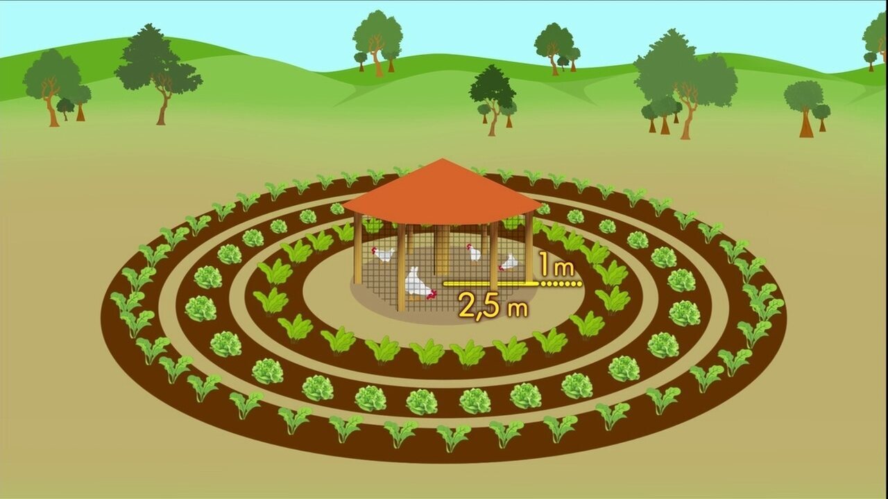 As Melhores Plantas para Consorciar na Horta Mandala