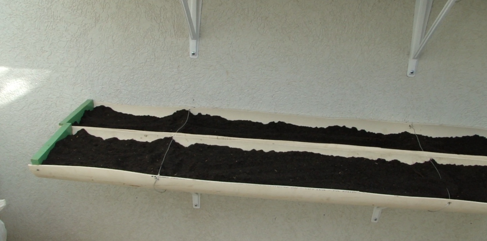 As Melhores Plantas para Horta Vertical em Apartamento