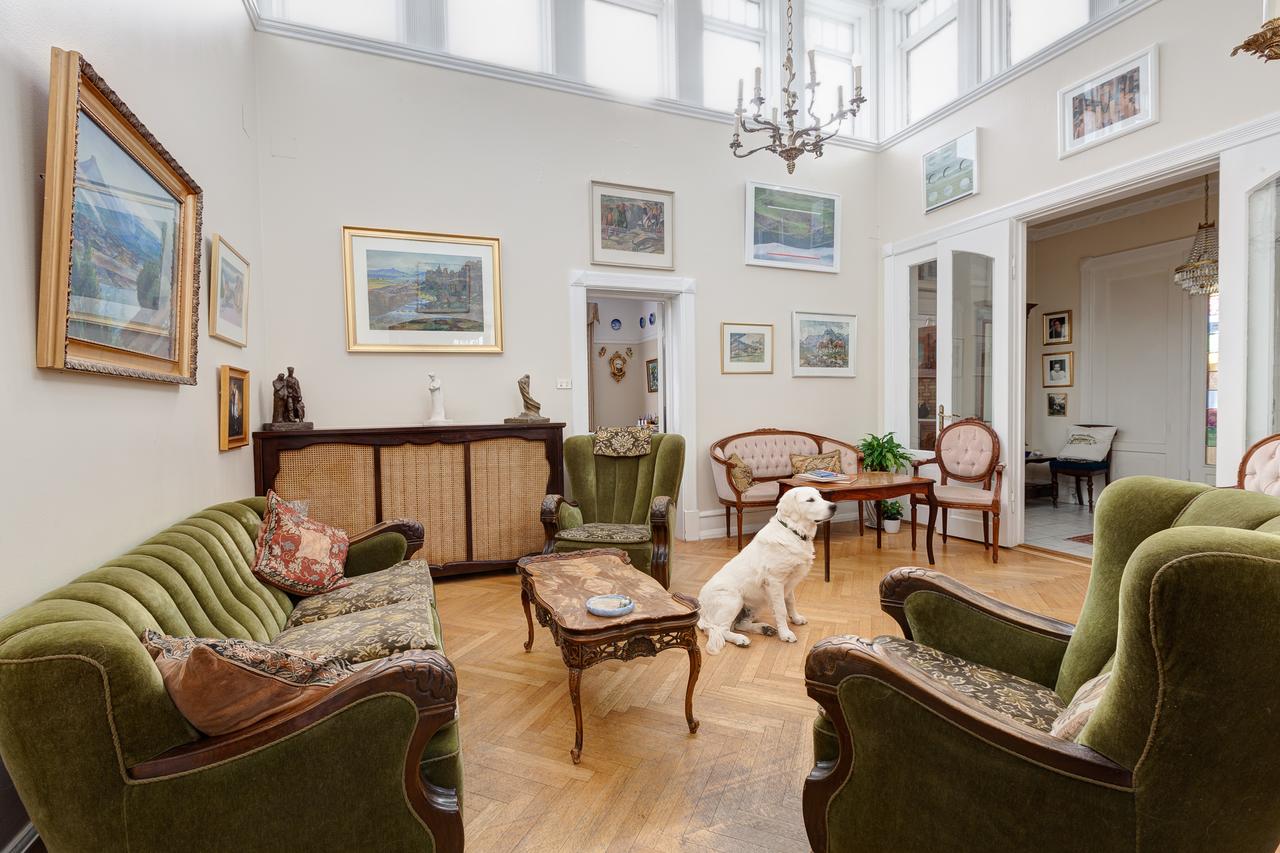 Dicas de Alimentação para Cães em Viagens ao Rio de Janeiro