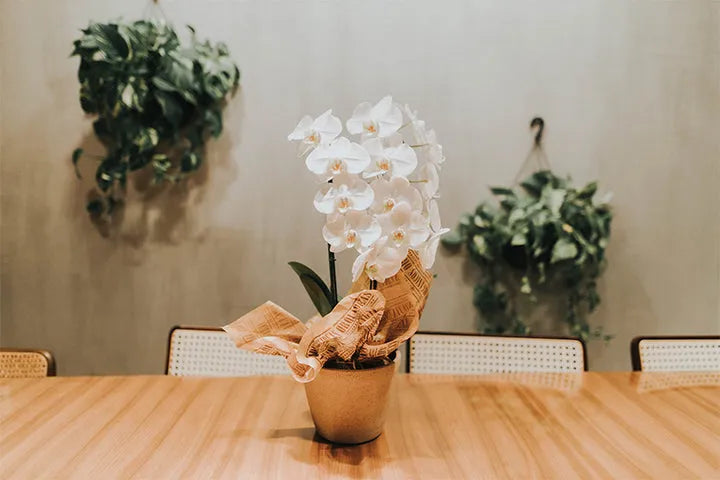 ideias arranjos de flores para sala pequena