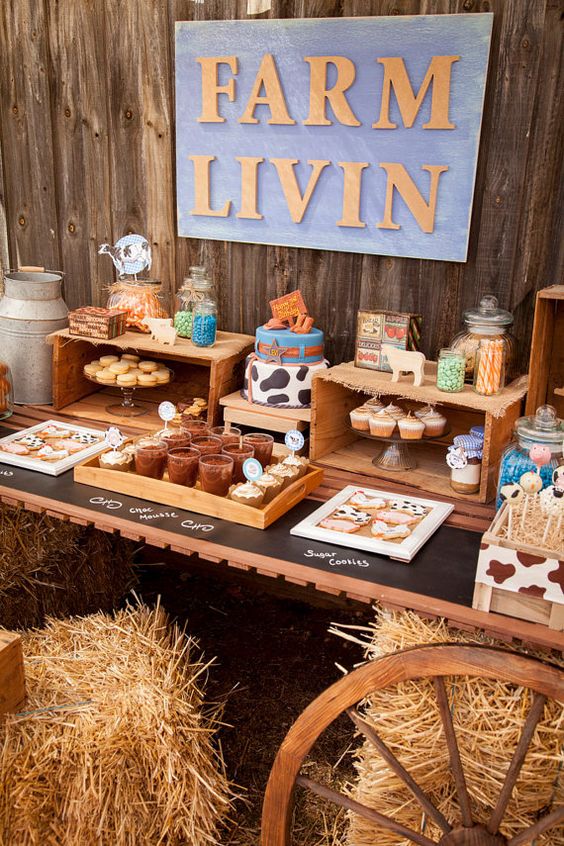 quanto custa festa fazendinha menino dicas economizar