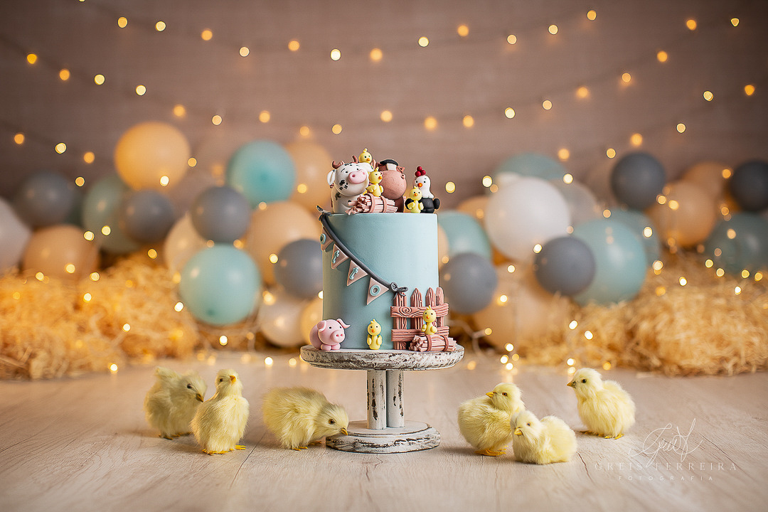 decoração fazendinha menino rústica ou moderna qual escolher