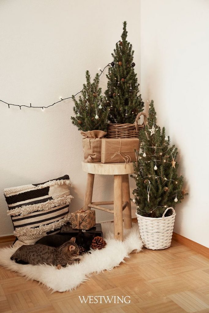 pisca pisca solar ou led tradicional varanda natal