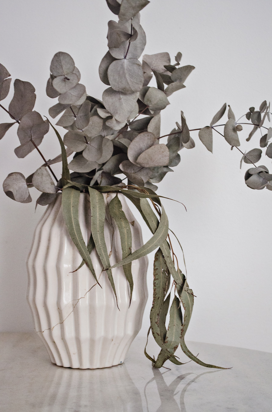 10 ideias criativas para decorar com eucalipto em casa