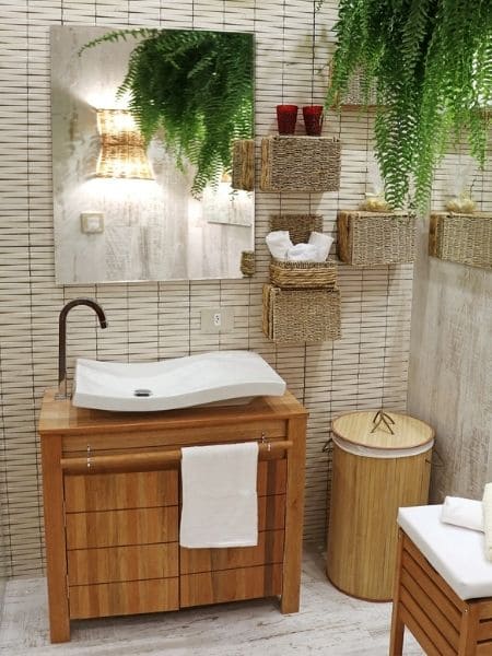 Plantas Ideais para Ambientes Pequenos