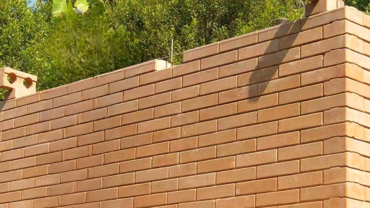 ideias muro divisa barato