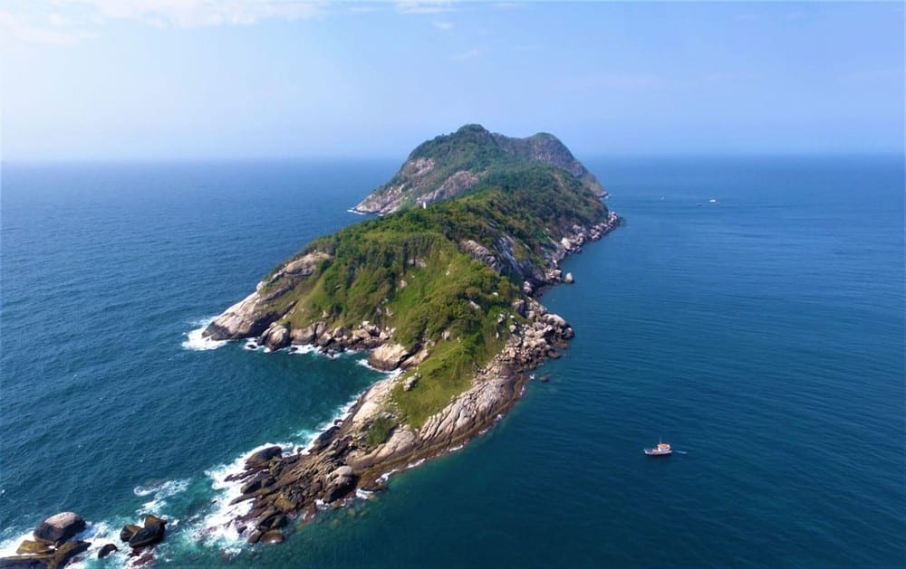 ilhas com cobras venenosas