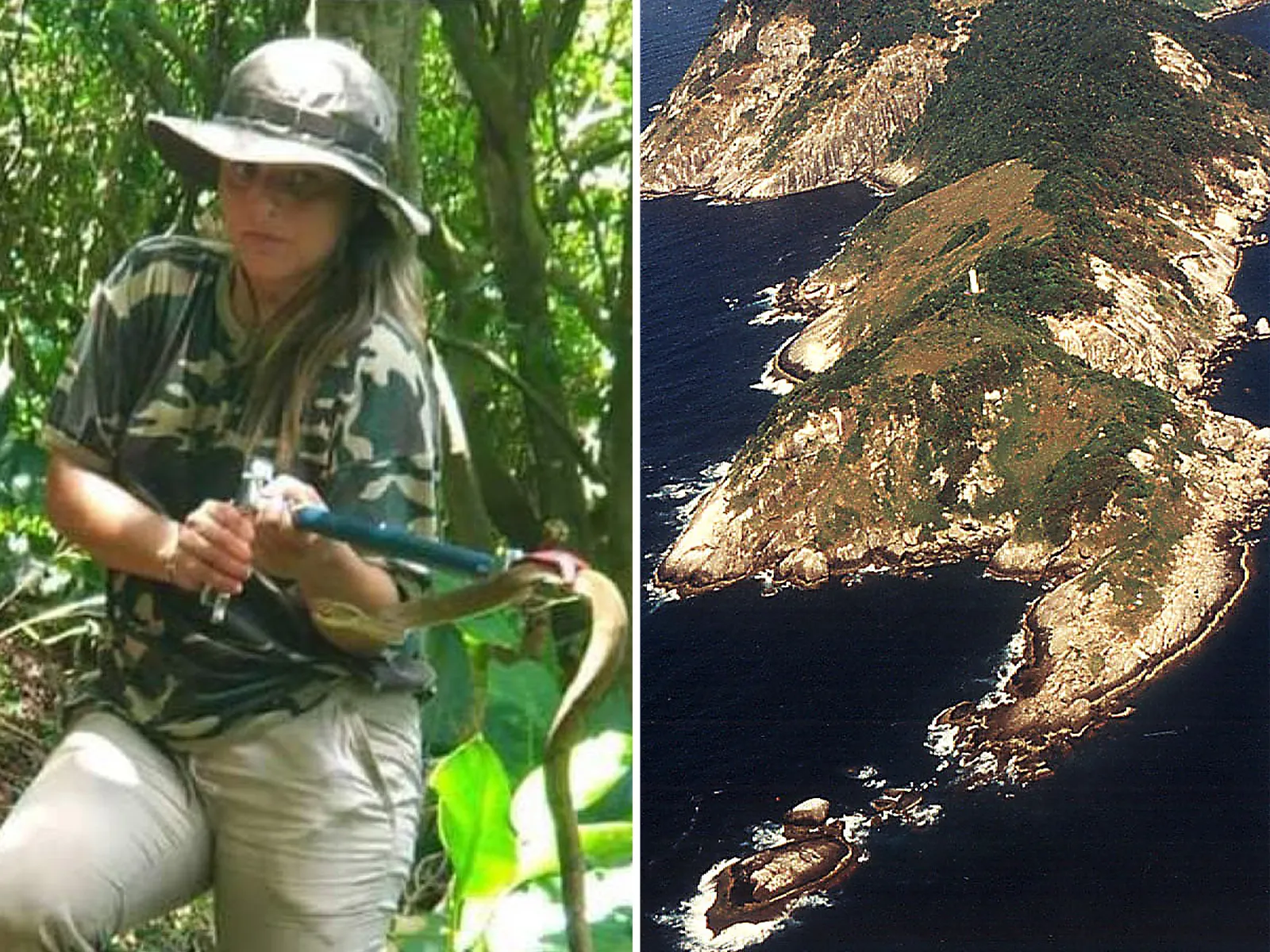 mergulho em sao paulo costa sul