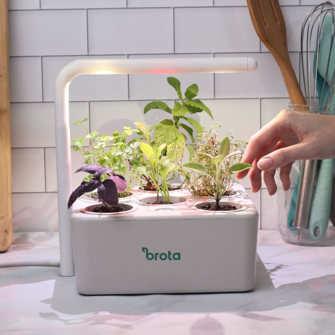 iluminação para horta em apartamento