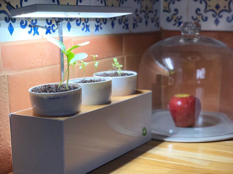 O que são lâmpadas de LED branca fria e para que servem?