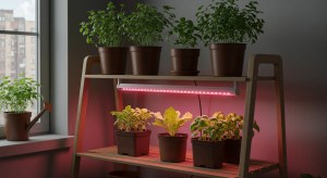 iluminação para horta em apartamento