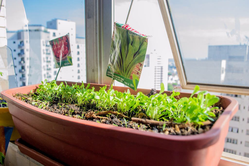 Quantum Boards vs. Lâmpadas LED: Qual a diferença?