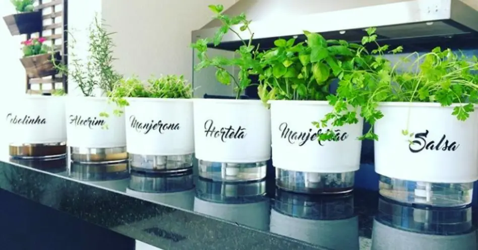 Como escolher a melhor Grow Light para sua horta