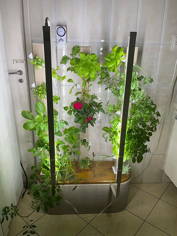 Iluminação LED para iniciantes em jardinagem indoor