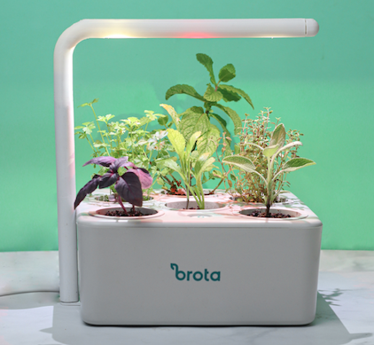 O que são lâmpadas de LED branca fria e para que servem?