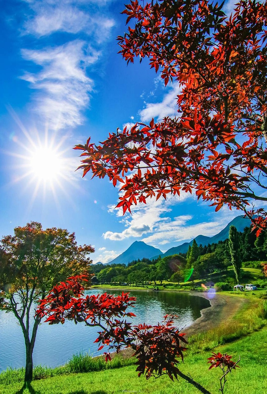 imagens de paisagens lindas