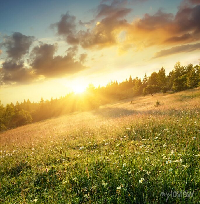 As 10 Paisagens Naturais Mais Incríveis para Conhecer no Brasil