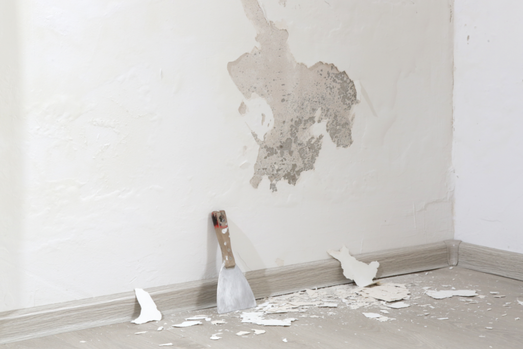 infiltração na parede o que fazer