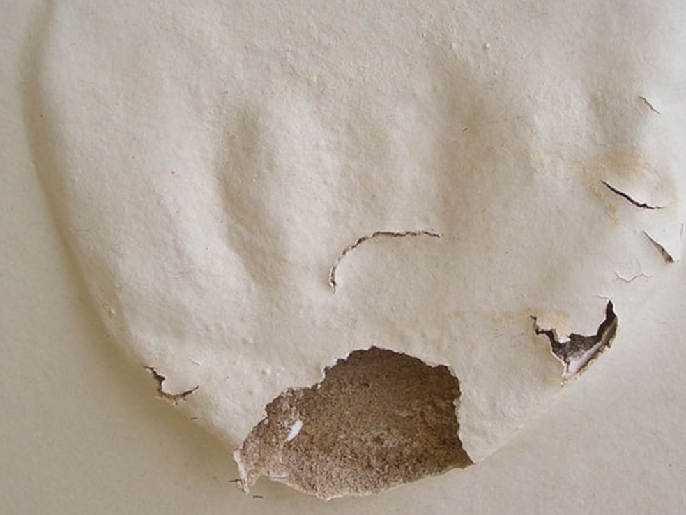 infiltração na parede o que fazer