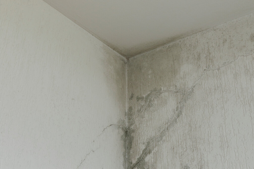 infiltração na parede o que fazer