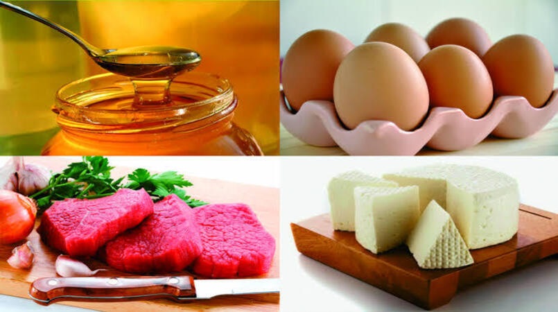 inspeção de produtos de origem animal