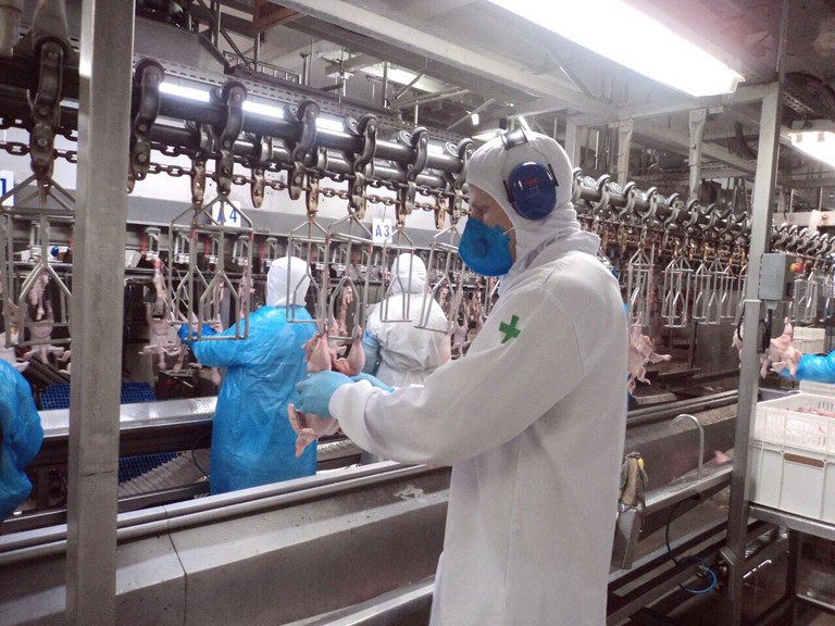 Guia Completo dos Selos de Inspeção: SIM