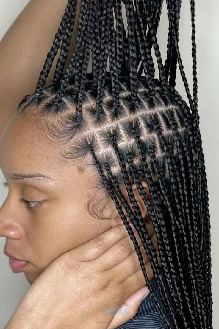 inspiração de tranças box braids para todos os dias
