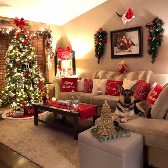 luzes led vs fio de fada decoracao natal varanda