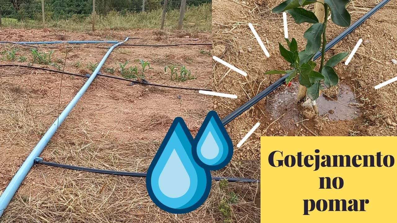 irrigação de pomares qual o melhor sistema