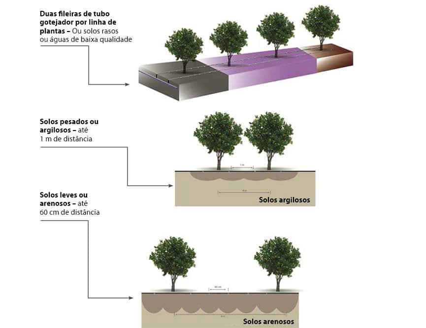 irrigação de pomares qual o melhor sistema