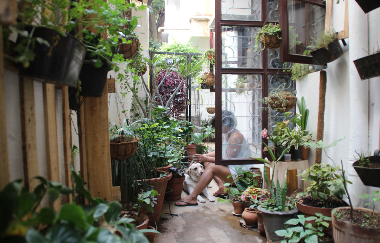 5 ideias de títulos