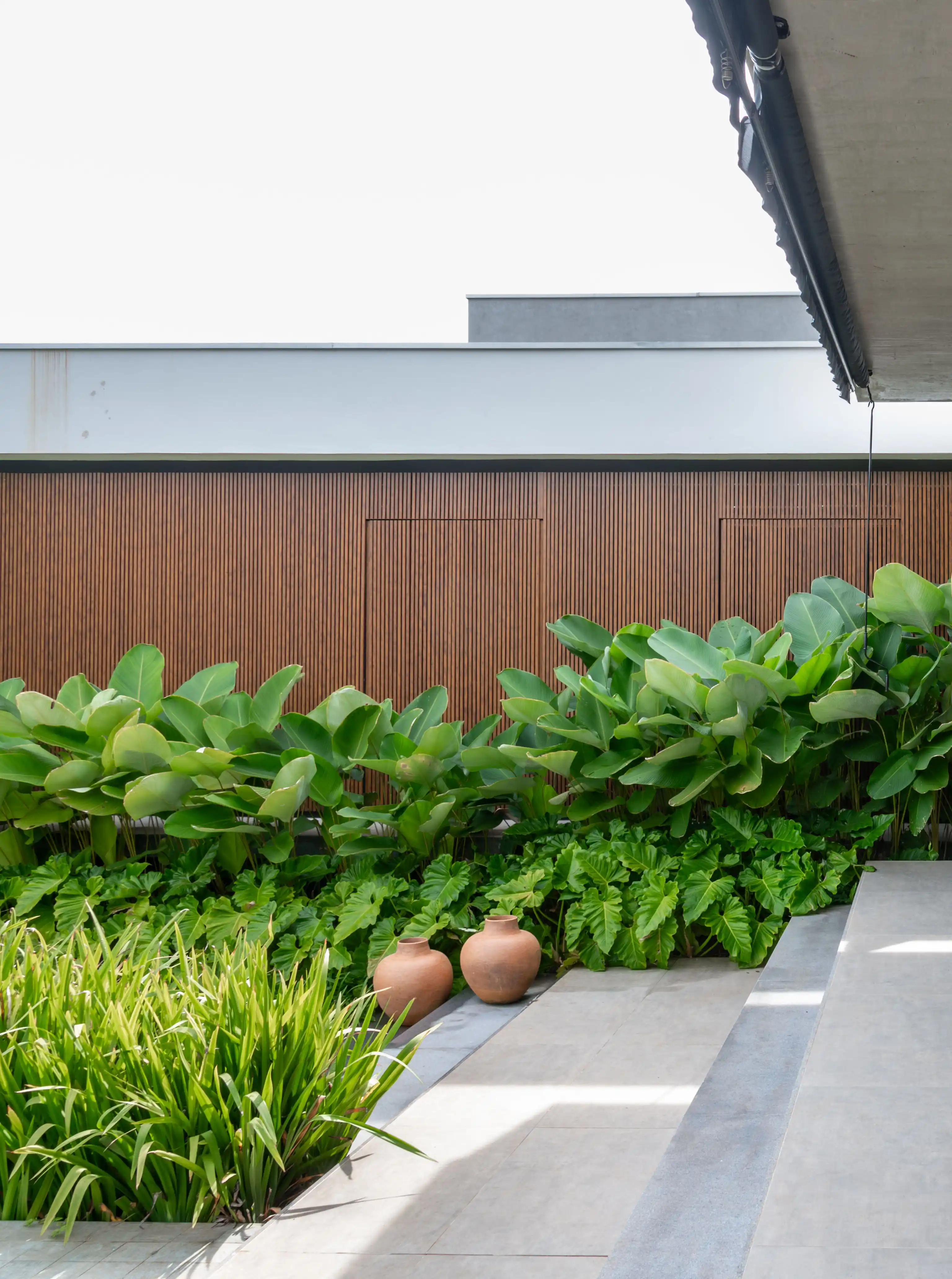 plantas para lateral de casa