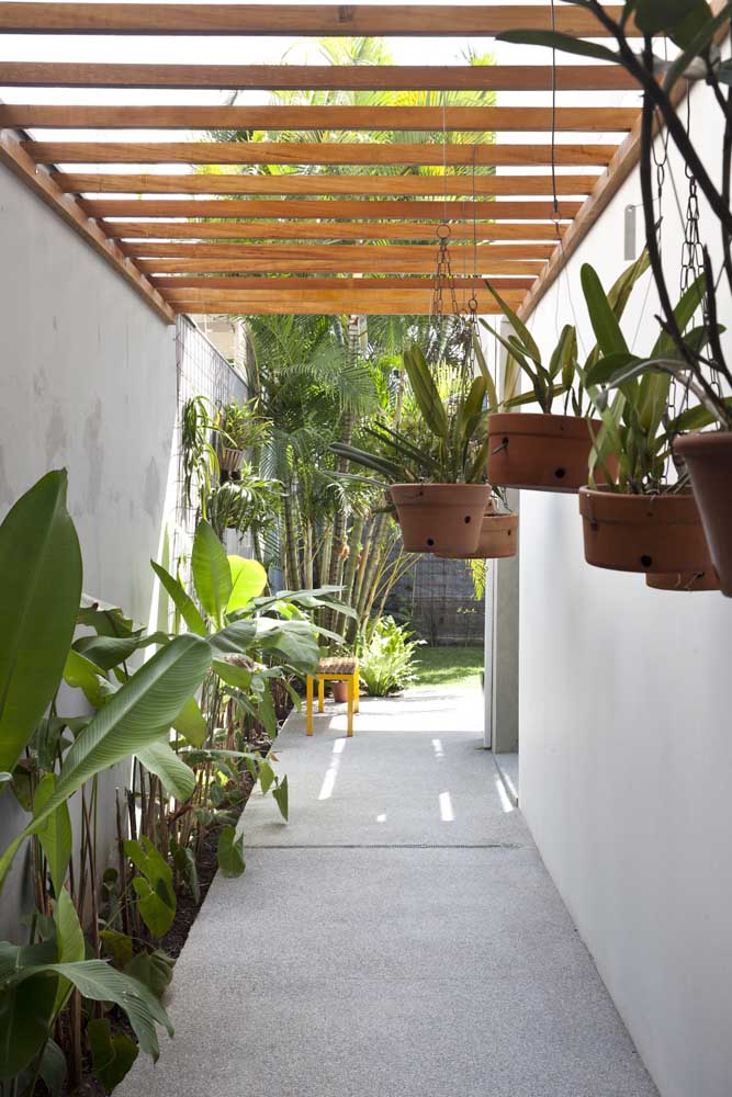 como decorar corredor com plantas