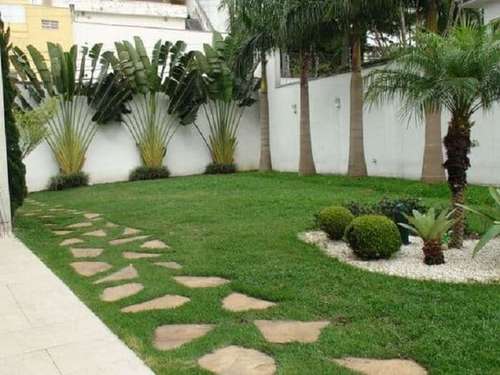 plantas resistentes umidade muro