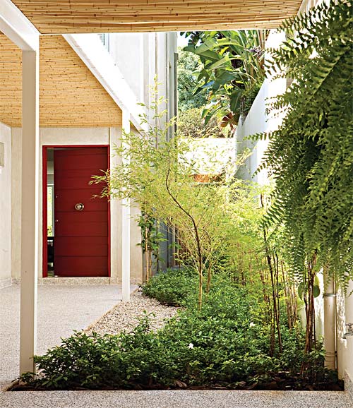 jardim vertical muro