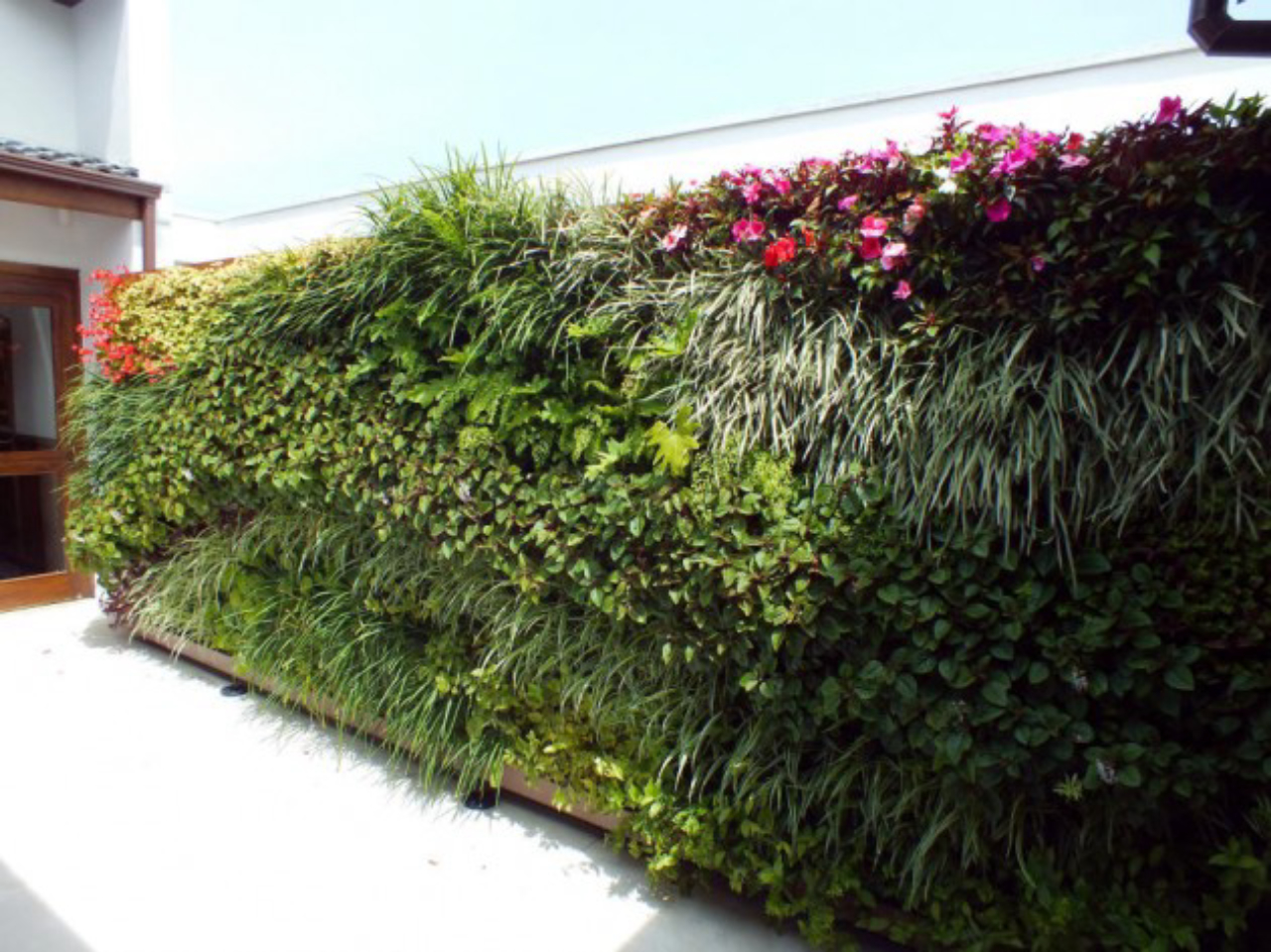 paisagismo com muros verdes