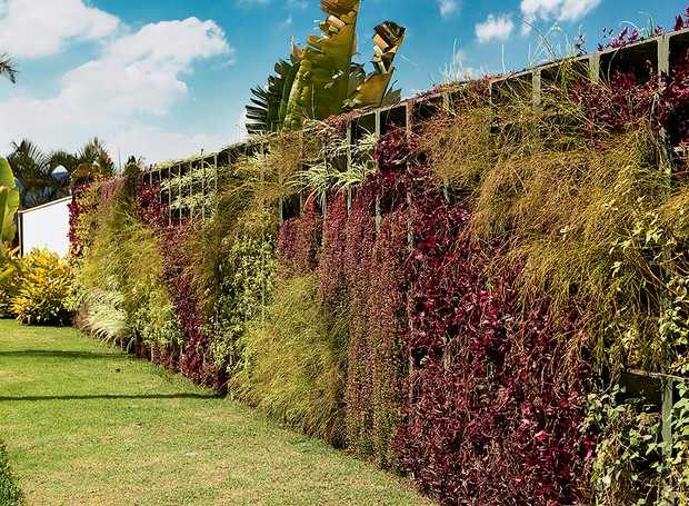 jardim em muro de concreto