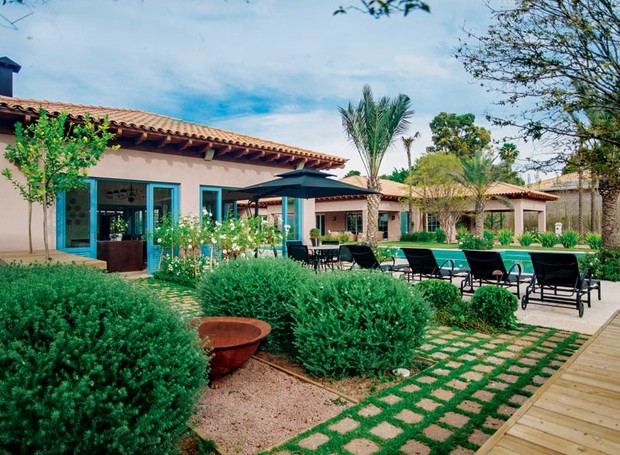 As Melhores Plantas para Jardim Provençal no Clima Brasileiro