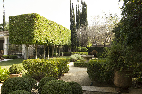 Guia Completo de Manutenção para seu Jardim Provençal