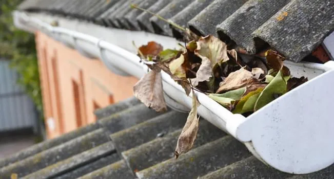 Segurança em Primeiro Lugar: Como Limpar Calhas Sem Riscos