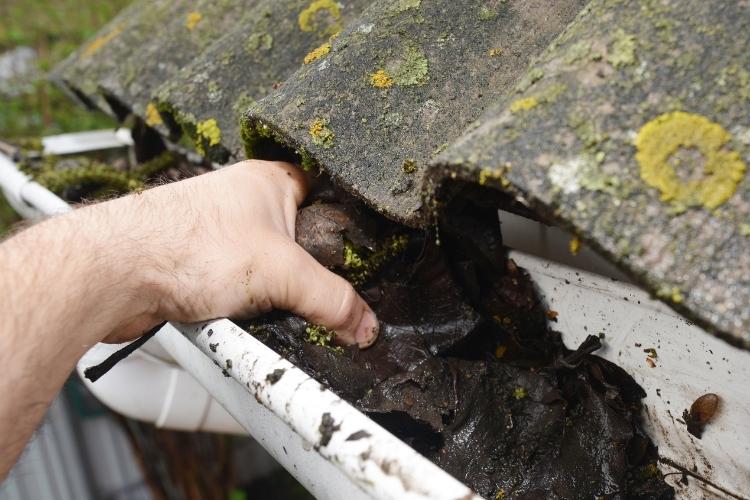 5 Ferramentas Essenciais para Limpeza de Calhas