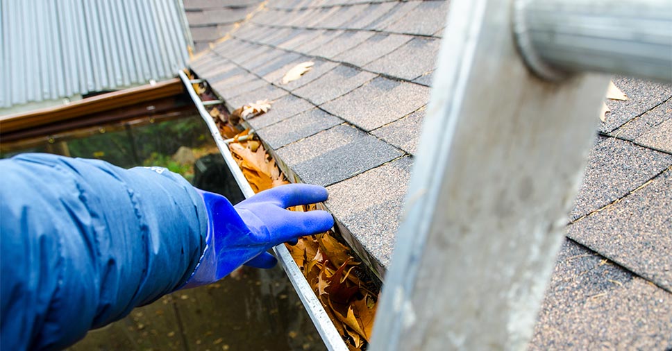 Quando Contratar um Profissional para Limpeza de Calhas?