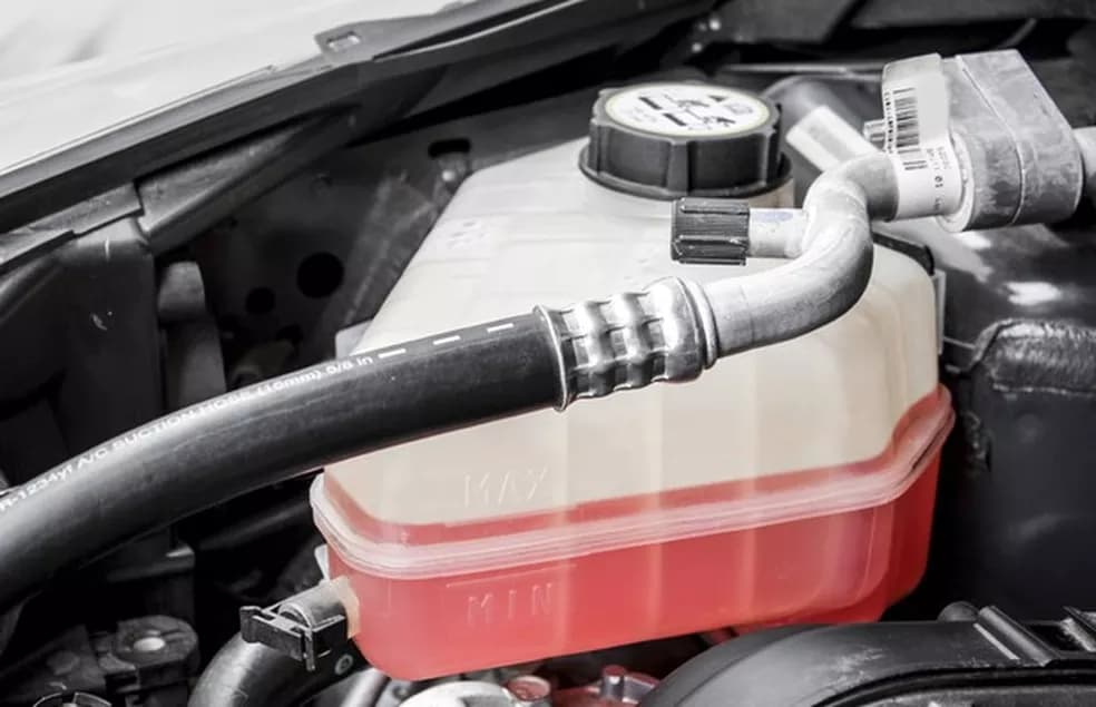 Guia completo sobre aditivos orgânicos vs. inorgânicos