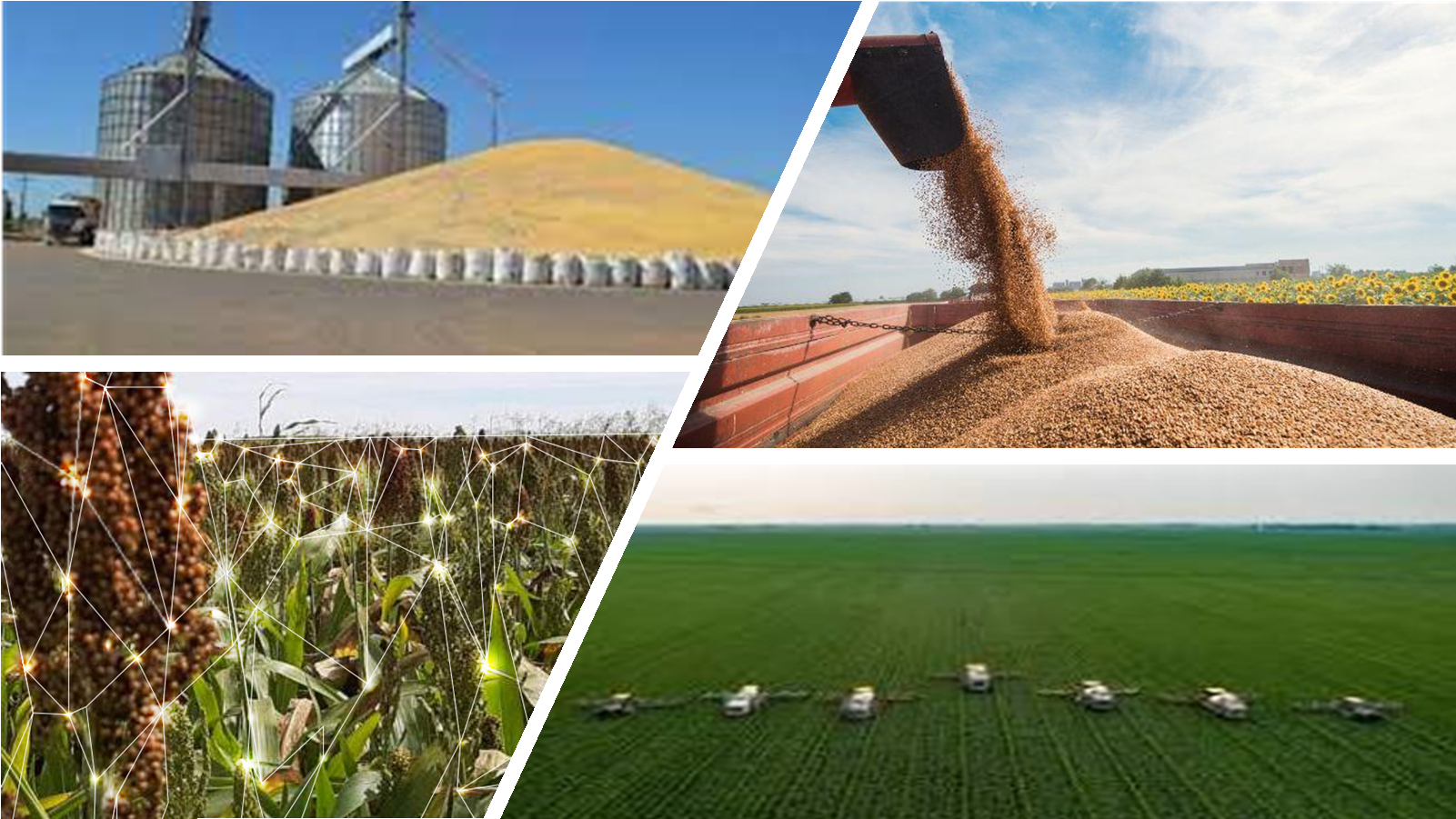 Como a Logística 4.0 está Transformando o Agronegócio Brasileiro
