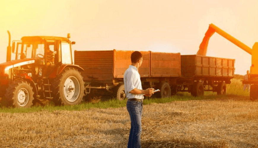 Déficit de Armazenagem: Estratégias para Superar a Falta de Silos no Campo