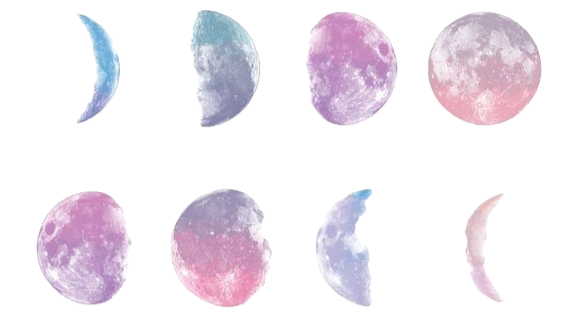 máquina de cortar cabelo Wahl vs Philips qual a melhor